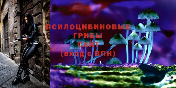 бутират Белоозёрский
