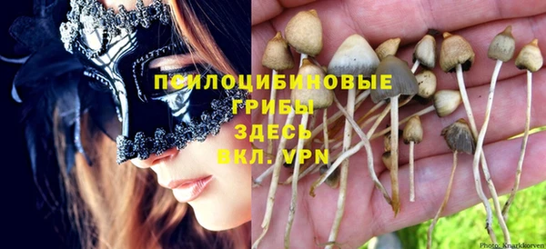 мескалин Белокуриха