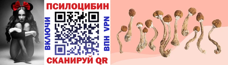 Галлюциногенные грибы Cubensis  где купить наркотик  Малмыж 